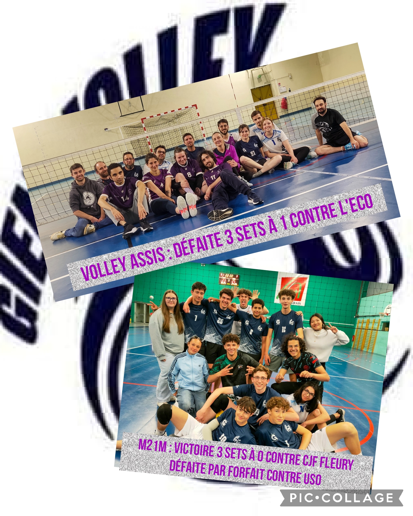 collage_2025-05-12_19_01_28 collage_2025-05-12_19_01_28